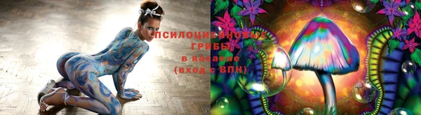 Альфа ПВП Алексеевка