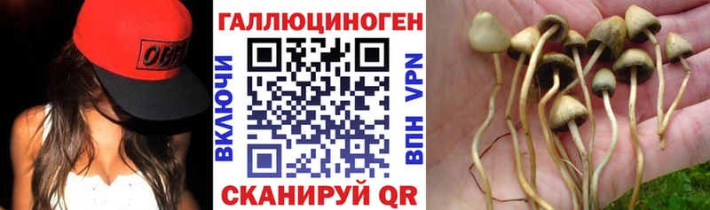 Псилоцибиновые грибы Magic Shrooms Тамбов