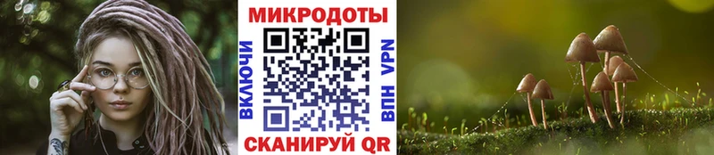 Псилоцибиновые грибы Psilocybine cubensis  OMG сайт  Тамбов 