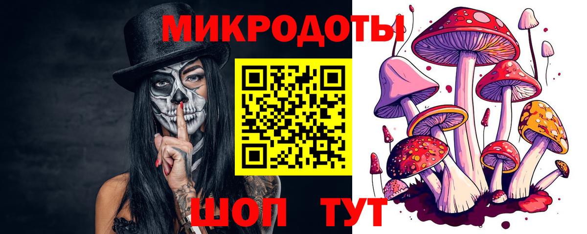 Псилоцибиновые грибы прущие грибы Тамбов