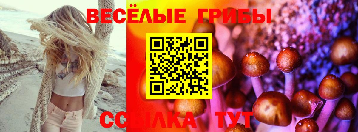 сколько стоит  Вход с VPN  Тамбов  Галлюциногенные грибы GOLDEN TEACHER 